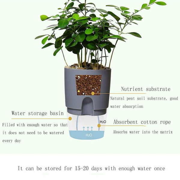 Transparent Plastic Double-Layer Water Storage Automatic Water-Absorbing Flowerpot, Size: A707 Caliber 15.3cm(Gray Transparent Basin)