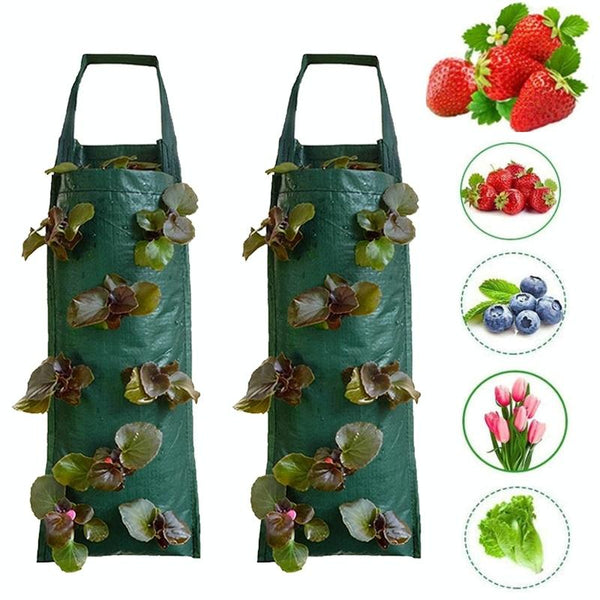 Multi-Port Grow Bags For Plant Strawberry Potato Hanging Planting Pots, Size: 6 Port