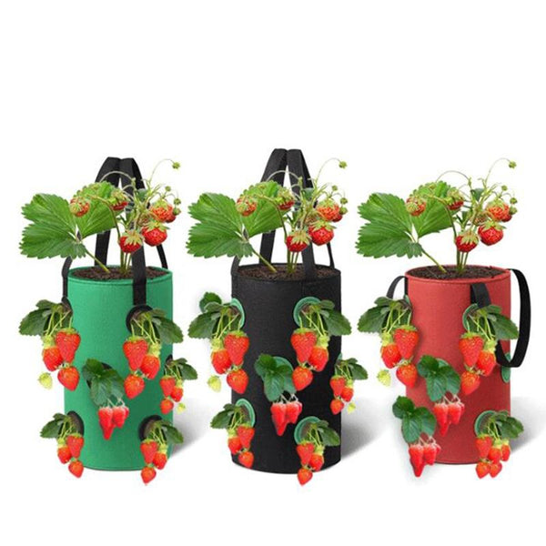 Multi-Mouth Hanging Strawberry Plant Bag With 13 Holes, Size: 20x35cm(Red)