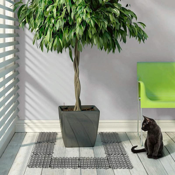 12pcs / Box Anti-Cats Barbed Spike Net Mat Sofas Gate Garden Cats Repellent Tool, Style: Without Screw(Black)