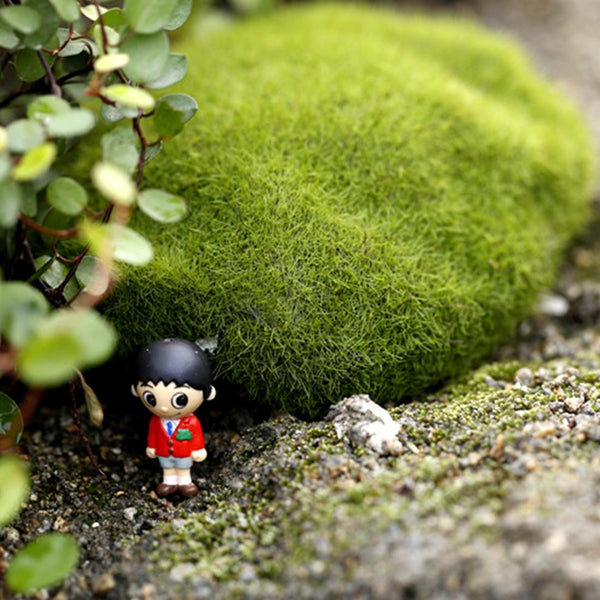 5pcs Simulation of False Moss Simulation of Bryophyte Stone Moss Flocking False Lawn Micro Landscape Decoration Accessories,Diameter: 8cm