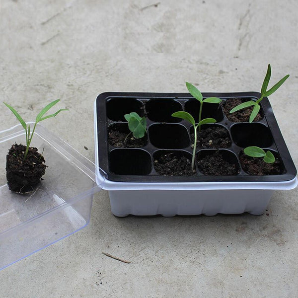 Seedling Tray Sprout Plate 12 Holes Nursery Pots Tray Lids Box For Gardening Bonsai Mini Greenhouse Nursery Plate(White)