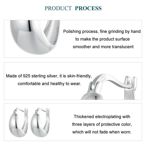 S925 Sterling Silver Metallic Earrings(BSE967)