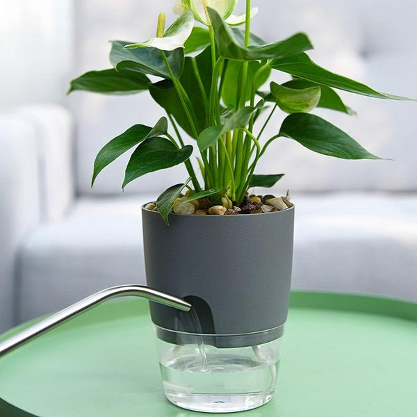 Transparent Plastic Double-Layer Water Storage Automatic Water-Absorbing Flowerpot, Size: A709 Caliber 23.5cm(Gray Transparent Basin)