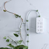 Small 50pcs Plant Climbing Wall Buckle Vine Traceless Plant Fixer Self-Adhesive Hooks(Green)