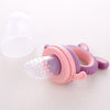 Baby Pacifier Fruit And Vegetable Auxiliary Feeder Baby Bites Feeder Nipples, Color: Large Purple