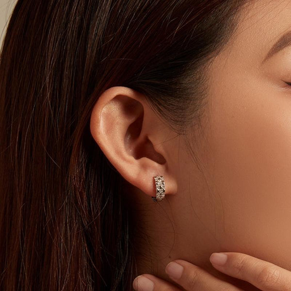 BSE786 Sterling Silver S925 Zircon Plated Platinum Earrings