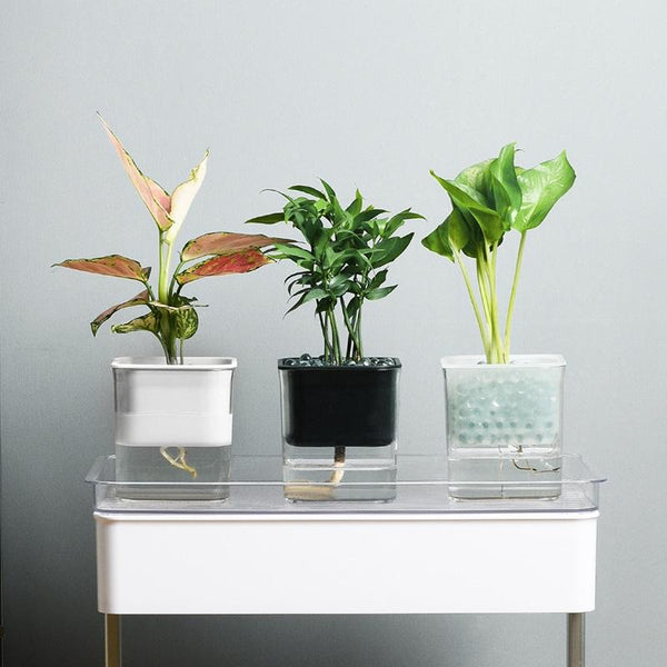 Hydroponic Transparent Visible Plastic Flower Pot, Size: 10x10x11.3cm(White)
