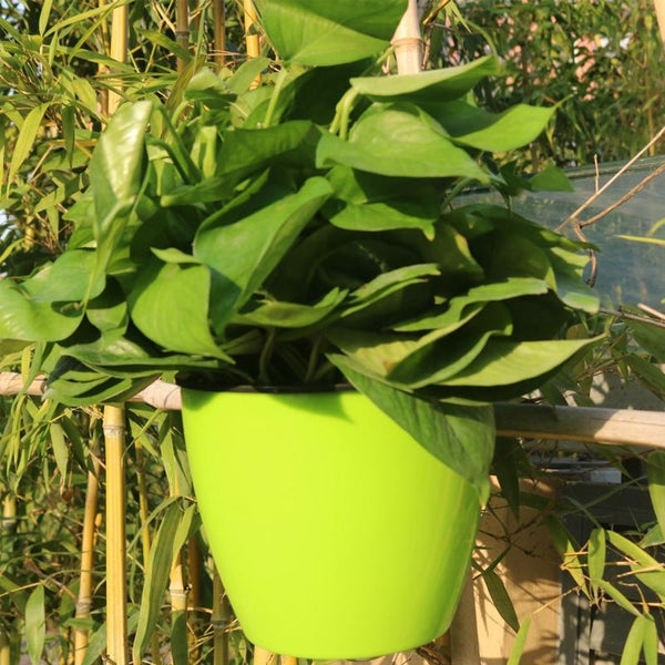 Self-Watering Planter Grow Plants Lazy Flower Pots Wall-hanging Round Resin Plastic Flower Pots, Size: 18x12.5x16cm(Green)