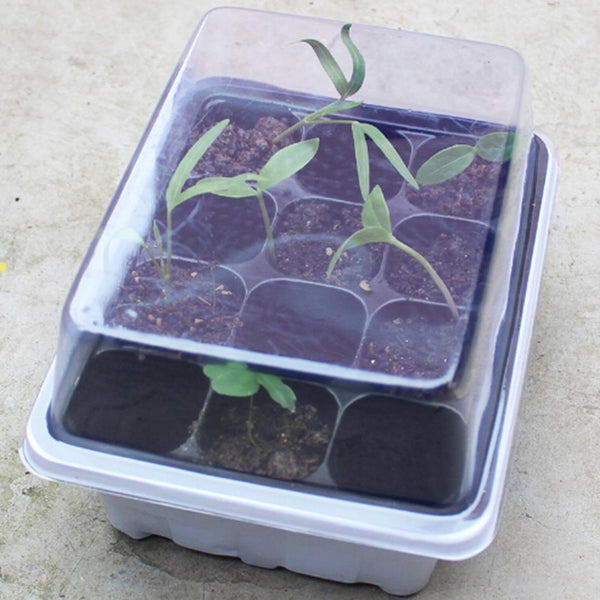 Seedling Tray Sprout Plate 12 Holes Nursery Pots Tray Lids Box For Gardening Bonsai Mini Greenhouse Nursery Plate(White)