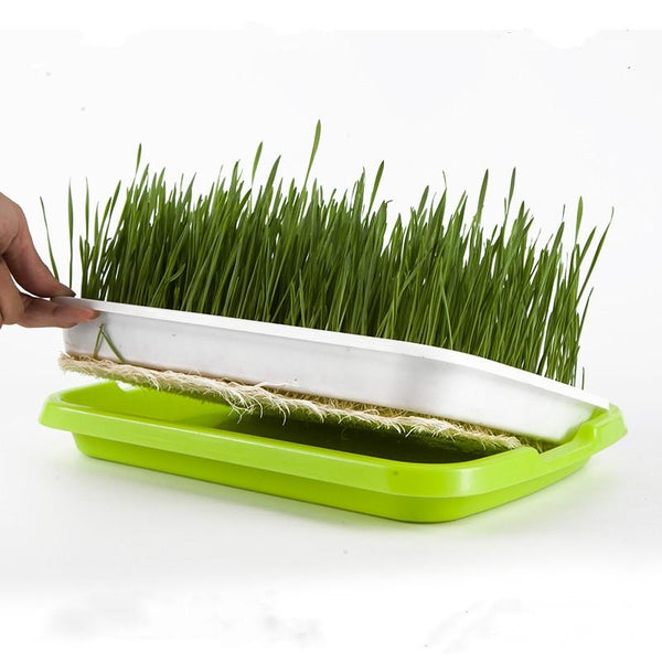 5 PCS Bean Sprout Germination Tray Soilless Culture Seedling Pot(Green)