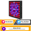 LED Plant Light Quantum Board Greenhouse Seedling Plant Growth Supplementary Light Full Spectrum Plant Planting Light, Power: 81 Beads US Plug