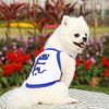 Cooling Dinosaur Mesh Vest Set, XL, Dark Blue - Dog/Cat Clothes