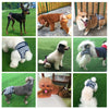 Dog Nappies XXL Blue Striped, Female & Male, Absorbent Period Pants