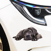 Style 3 Small 3D Simulation Dog Car Stickers Rain-Proof Sunscreen Car Sticker Scratch Shaving Decoration Stickers