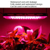 LED Plant Light Full Spectroscopy Waterproof Growth Lamp EU Plug 144 Beads 200W