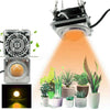 COB Plant Growth Light LED Vegetable Planting Succulent Light, Light:Sunligh(AU Plug 220V)