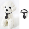 Grey Cat & Dog Bow Tie Collar, Adjustable, Small 17-32cm