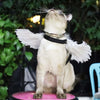 White Large Angel Feather Wings for Pets (Christmas/Halloween)