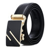 Dandali Casual Men Automatic Buckle Belt Business Soft Leather Pants Band, Length (cm): One Size 110-125cm(ZD-1)