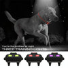 Dog Training Collar, 2 Dogs, Remote, Waterproof, 800m Range (Red)