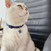 Cowboy Cat & Dog Collar with Bell, Denim, S 16-32cm