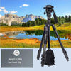 JMARY KT285+NB50 Camera Stand Extendable Height Aluminum Alloy Camera Holder Tripod