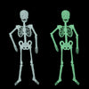 Luminous Skeleton Halloween Activity Props Bar Haunted House Decoration Supplies Fluorescent Skeleton, Size:Large(150cm)