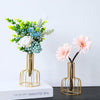 Wrought Iron Hydroponic Green Dried Flower Glass Flower Insert Decoration Without  Fake Flowers(Gold)