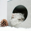 Folding Cat Nest Bed - Soft, Reversible & Washable