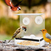 Clear Acrylic Square Bird Feeder - Durable & Weatherproof