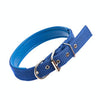 Soft Padded Pet Collar, Blue, 1.5cm x 39cm, Small Dogs/Cats