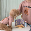 Teddy Bear Fleece Cat Sweater, XS, Light Pink