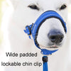 Riot Rush Dog Muzzle Leash Cover - Red, Large