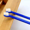 10x Double-Ended Pet Toothbrushes, Blue, Medium, Dog & Cat
