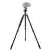 Triopo MT-2504C Adjustable Portable Aluminum Tripod with NB-1S Ball Head for Canon Nikon Sony DSLR Camera(Black)