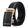 Dandali Casual Men Automatic Buckle Belt Business Soft Leather Pants Band, Length (cm): 115cm(ZD-9)