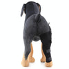 HJ19 Pet Surgery Rehabilitation Back Leg Protector Walking Aids, Size: XS(Black Right Back Leg)