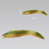 3 PCS Simulation Marine Animal Model Ornaments Eel
