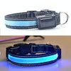 USB Rechargeable LED Dog Collar, Blue, 35-40cm (Medium/Large)