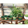 1 Gallon Flower Pots Plant Nursery Pots Plastic Pots Creative Gallons Pots with Tray,Size:17.5*16*16cm