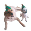 Christmas Tree Dog Headband (S) - Festive Pet Costume Accessory