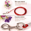 Double-Ended Steel Wire Dog Lead - 3m (Random Colour)