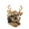 Christmas Antler Headband for Dogs & Cats - Size M