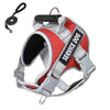 Large Dog No-Pull Harness & Lead, Red, L