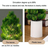 Christmas Tree Night Lights Bedroom Pine Ambient Lamps Home Decorative Lights(Warm White Light)