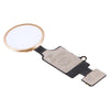 iPhone 7/8/Plus Gold Home Button (5th Gen) - No Touch ID
