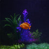 Glow in the Dark Silicone Aquarium Fish Ornament (Clownfish, Angelfish, Guppy, Upside-Down Catfish)