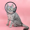 Pet Recovery Headgear, Anti-Bite Cone, 12.5cm, No.5