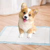 100 x Pet Training Pads 33x45cm Puppy Pads S Dog Nappy Pads Absorbent